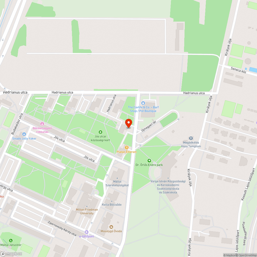 Zöldön és járdán parkolnak állandóan bejelentés helye