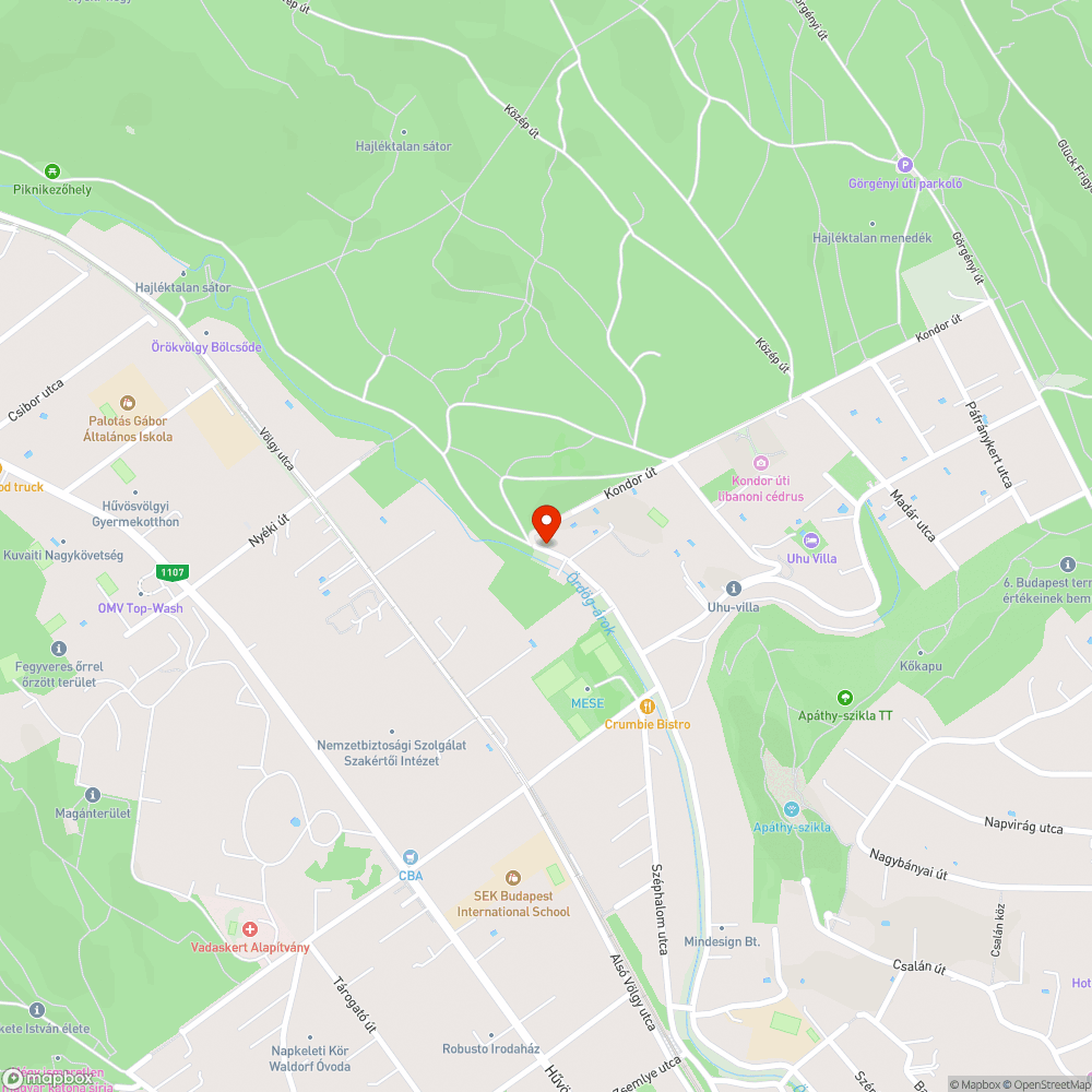 Szanaszét hagyott zöldhulladék zsákok bejelentés helye