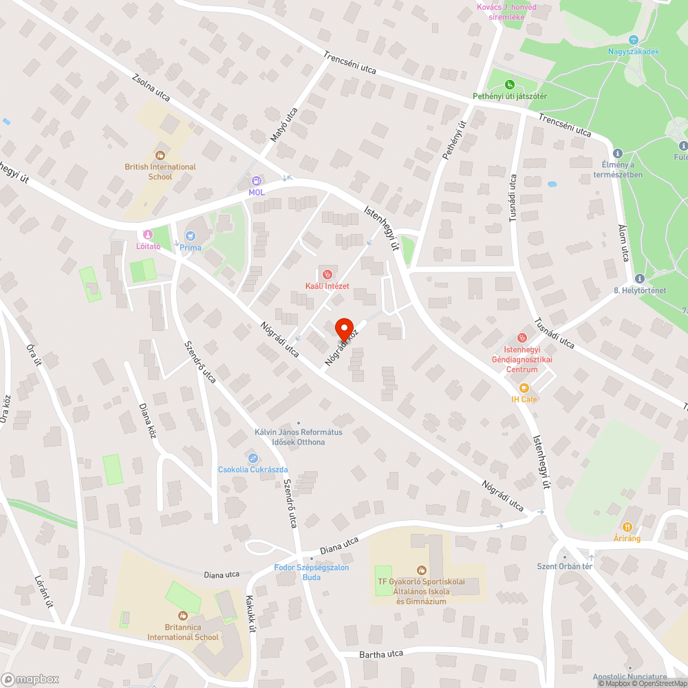 Nógrádi köz füves területének rendezése. bejelentés helye