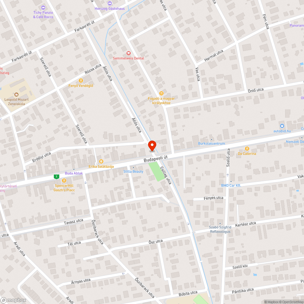 Elhagyott autó bejelentés helye