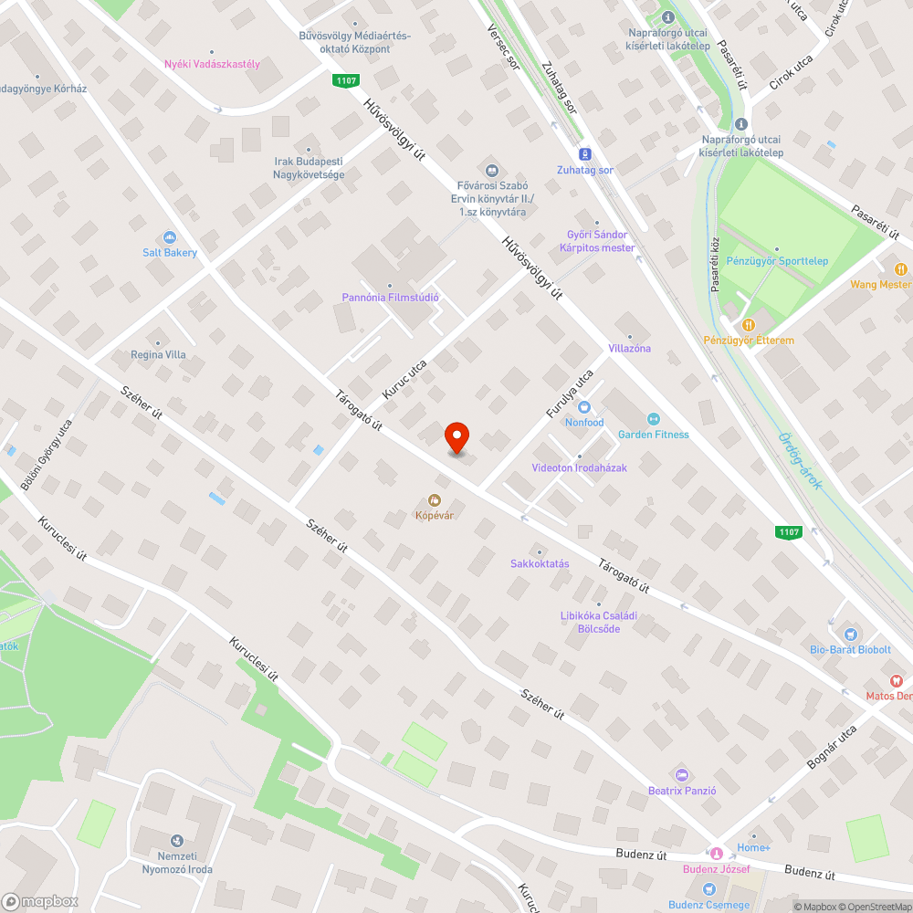 Letört faágak miatt járhatatlan járdaszakasz bejelentés helye