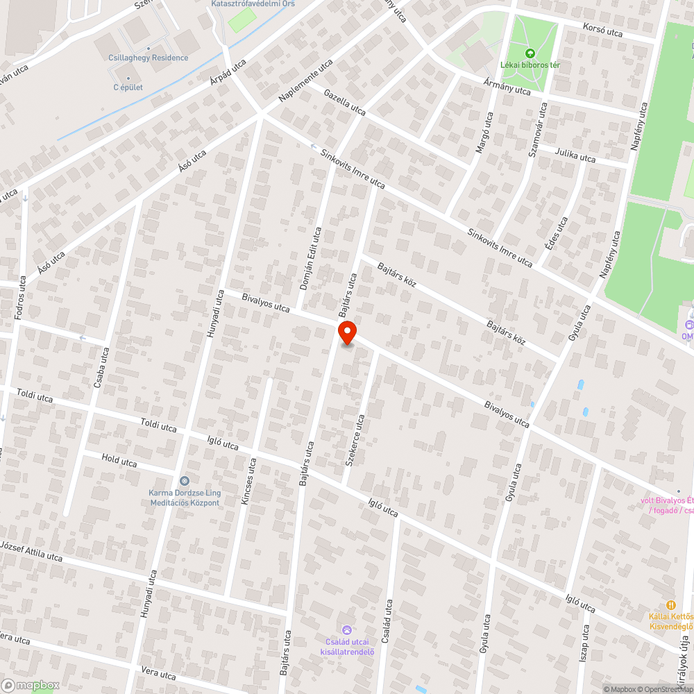 Borostyán futott fel a lámpaoszlopra bejelentés helye