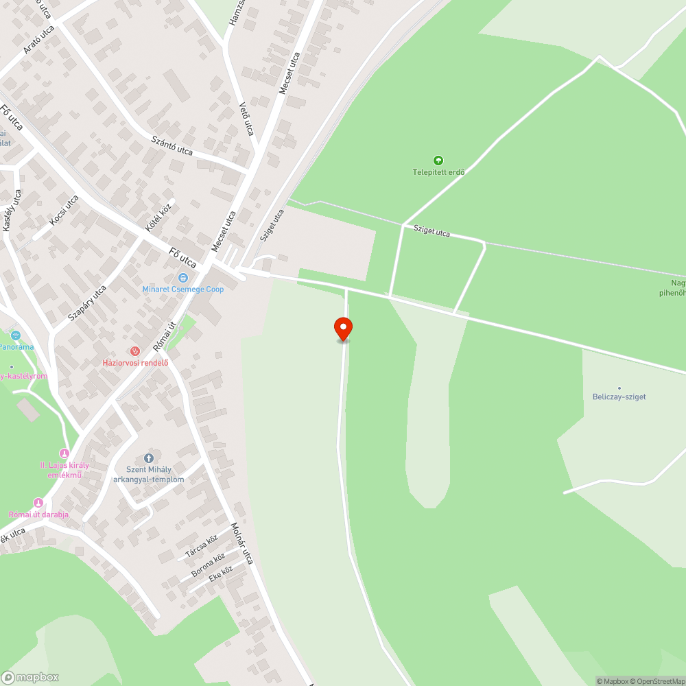 Festékmaradványok és más építési hulladékok a Beliczay-szigeten bejelentés helye