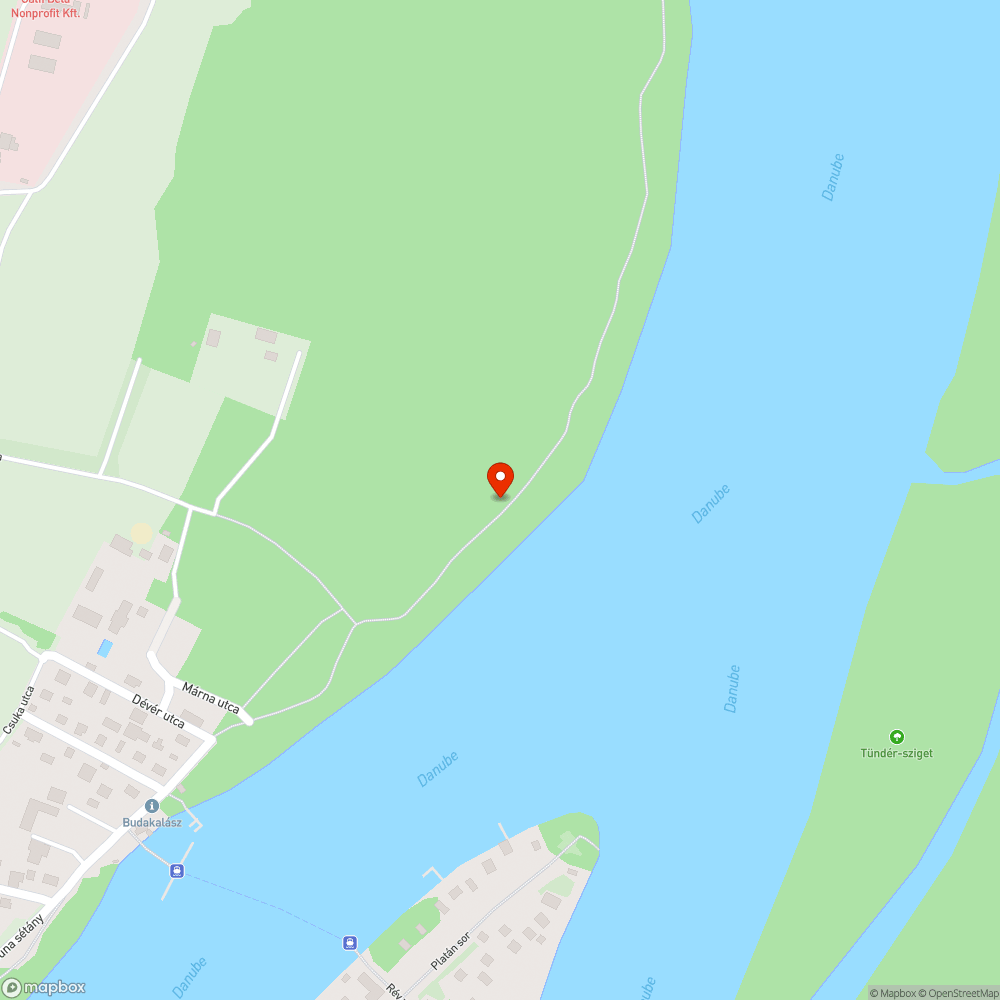 kidőlt fa a bicikliúton bejelentés helye