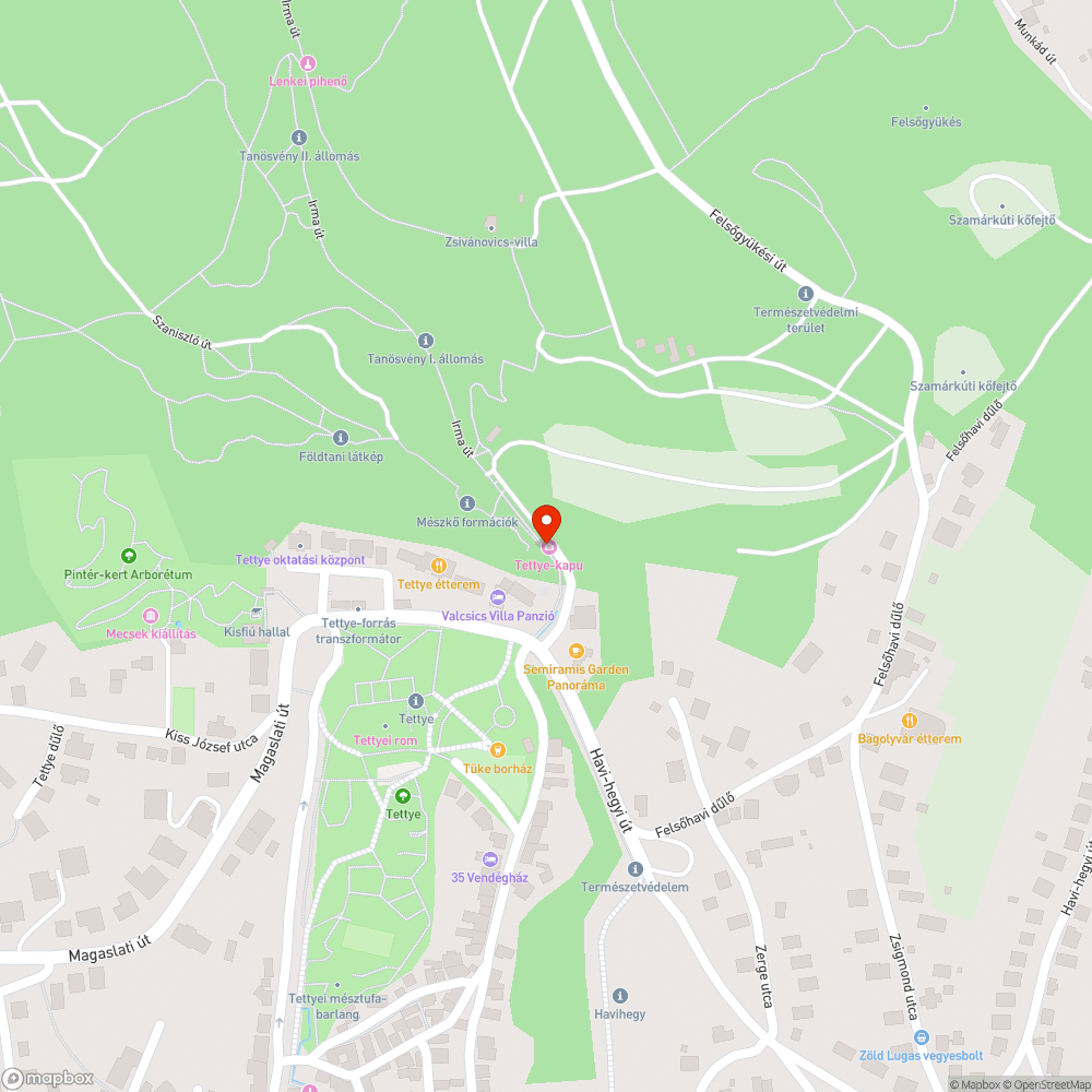 Kidőlt fa Tettye kapu bejelentés helye