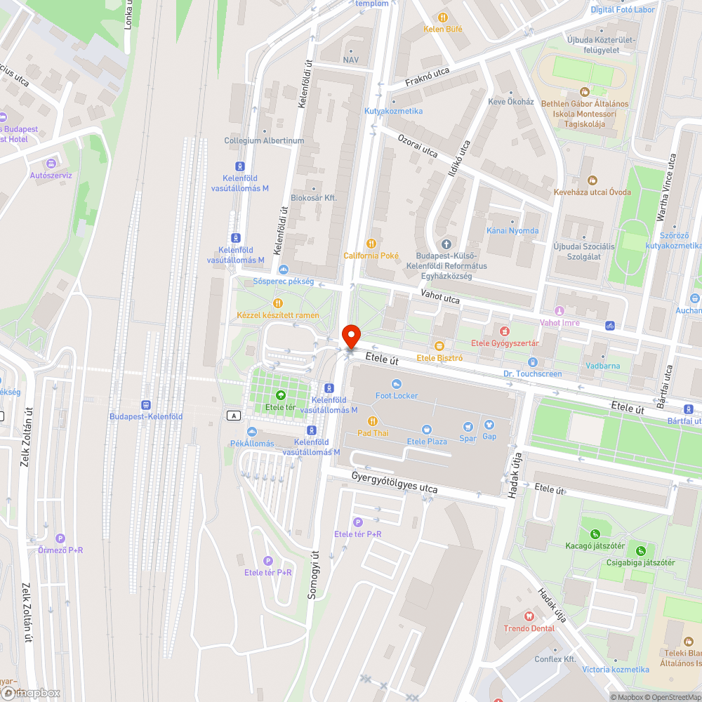 Lekopott zebra bejelentés helye