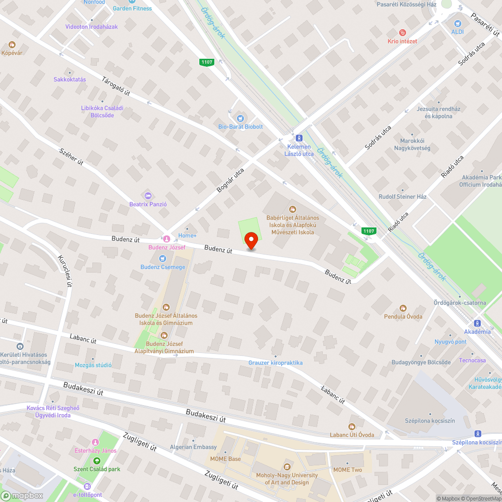 A Budenz úton a járda, zöldsáv állapota bejelentés helye