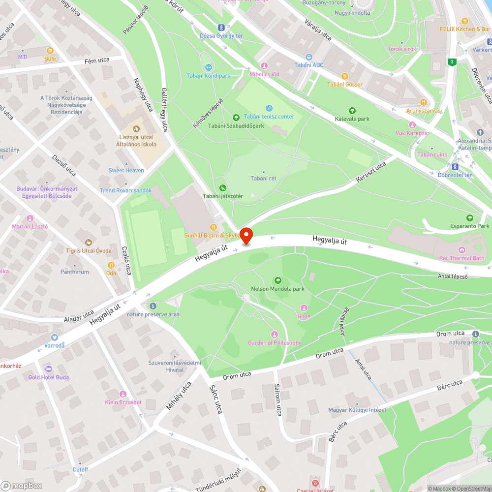 Borzalmas állapotban a Hegyalja út bejelentés helye