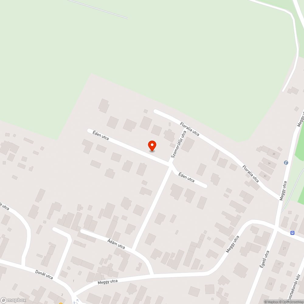 Levágott ágak a járdán/út szélén bejelentés helye