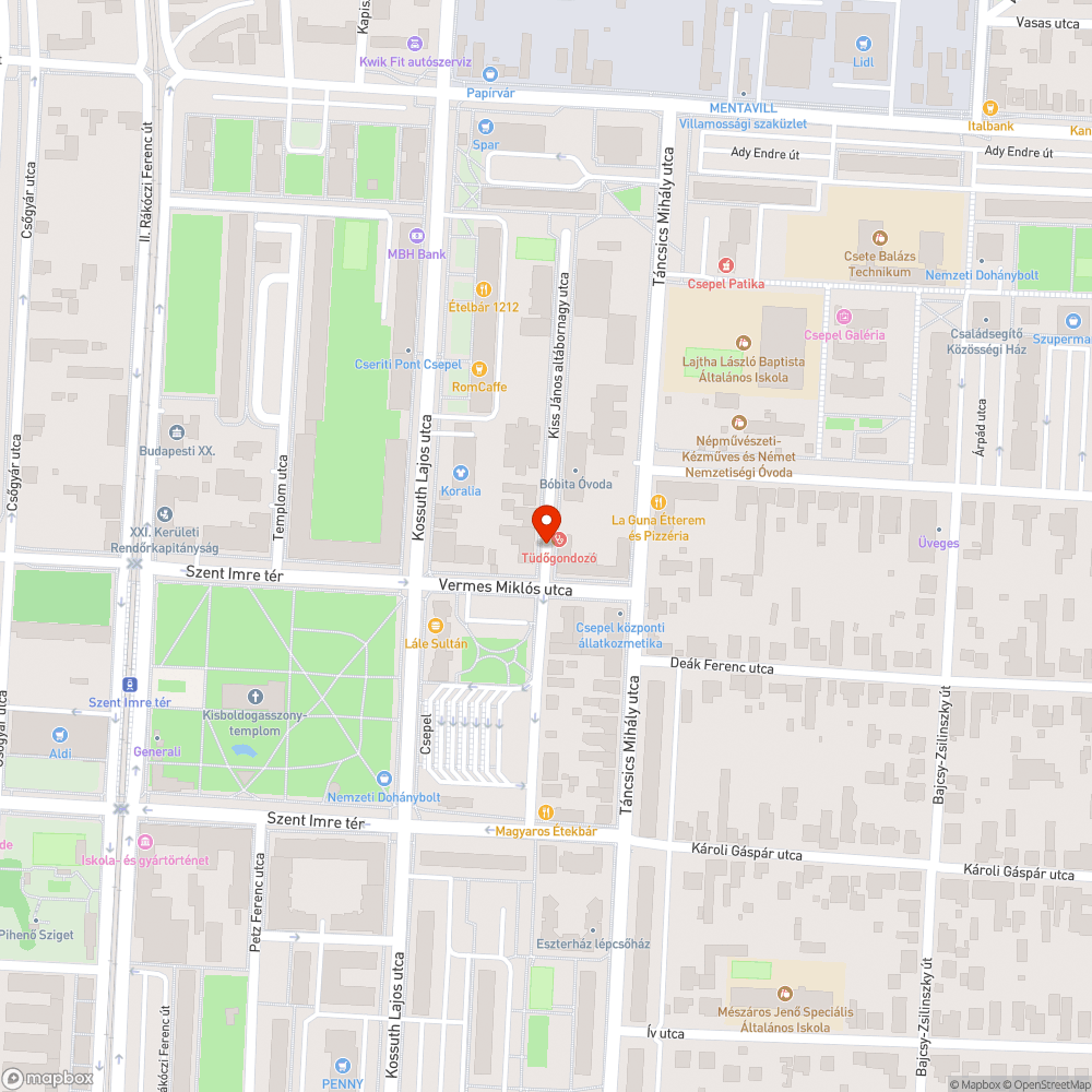 Veszélyes járda és útszakasz bejelentés helye