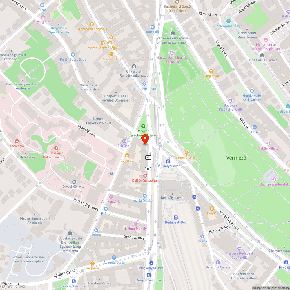 Minősíthetetlen köztisztasági állapotok az Alkotás utca elején bejelentés helye