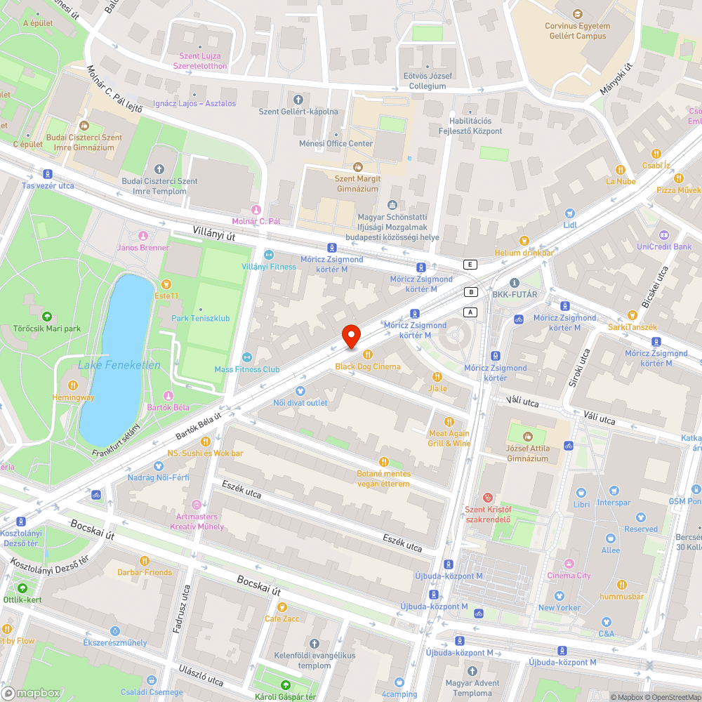 Járdára ömlött festék bejelentés helye