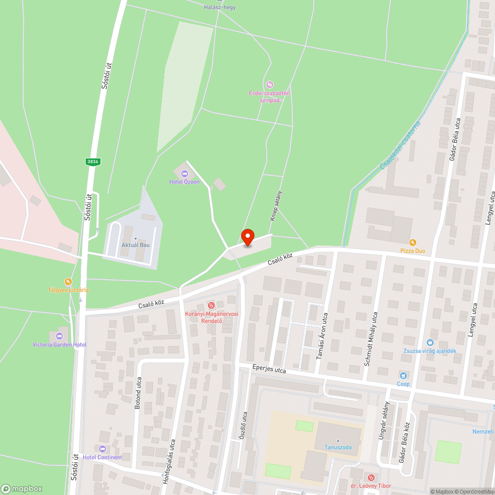 Veszélyes játék bejelentés helye