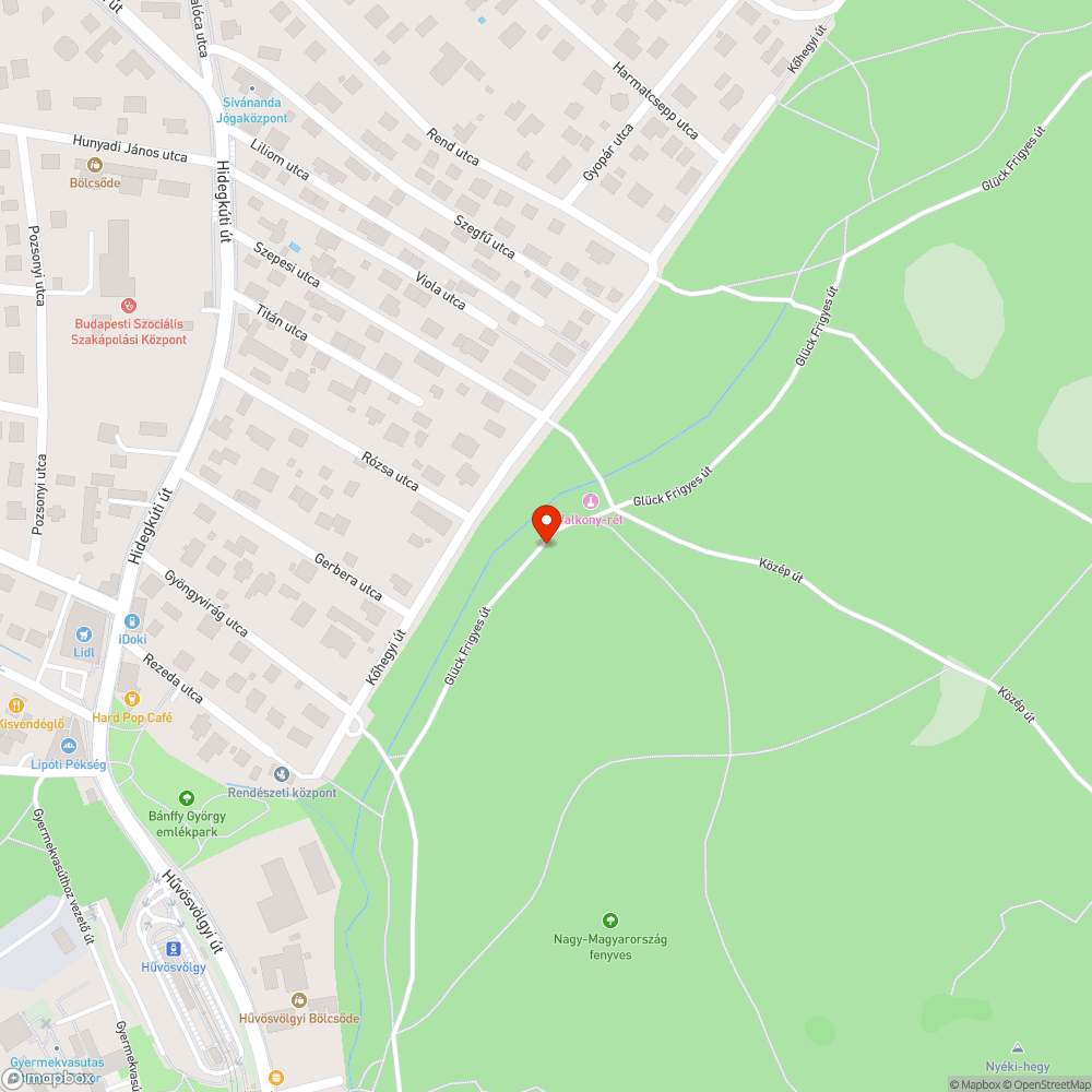 Megrongált OKT jel bejelentés helye