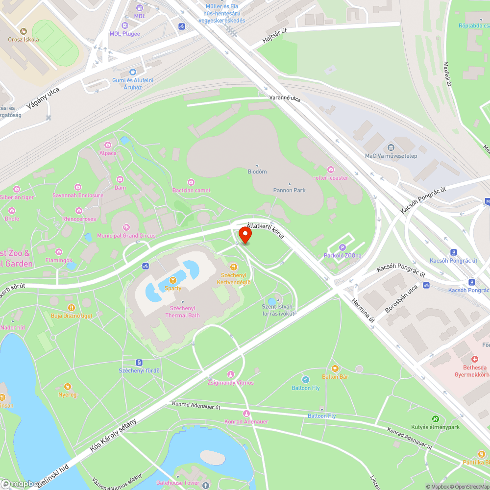 Visszatérő ellenőrzés szükséges a Városligetben bejelentés helye