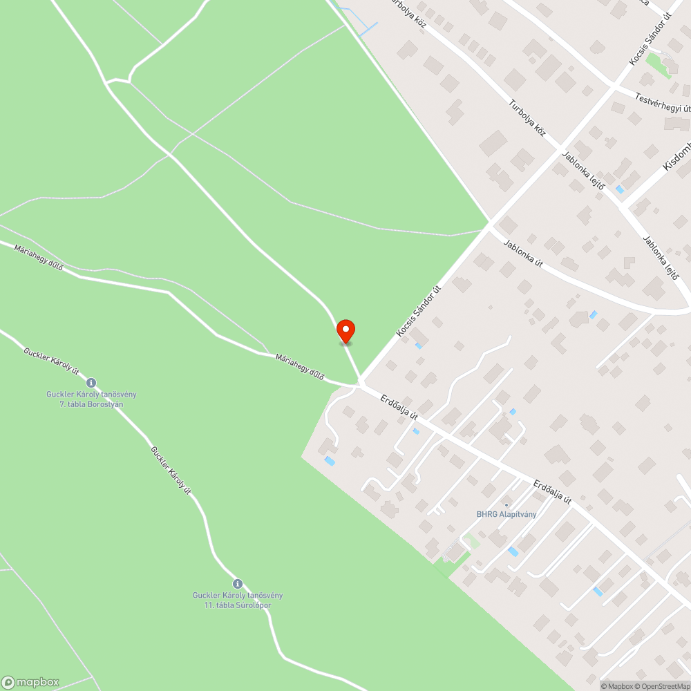 Útra dőlt fa bejelentés helye