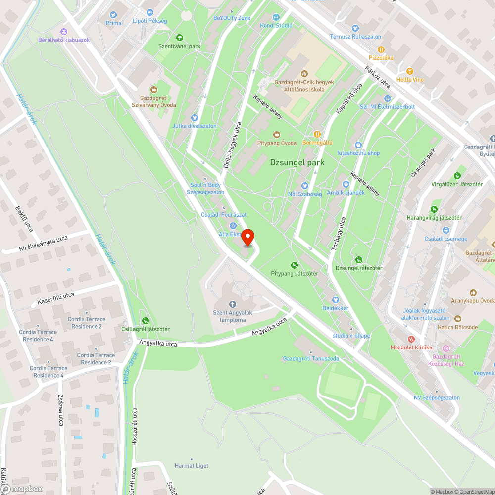 Szabálytalan parkolás bejelentés helye