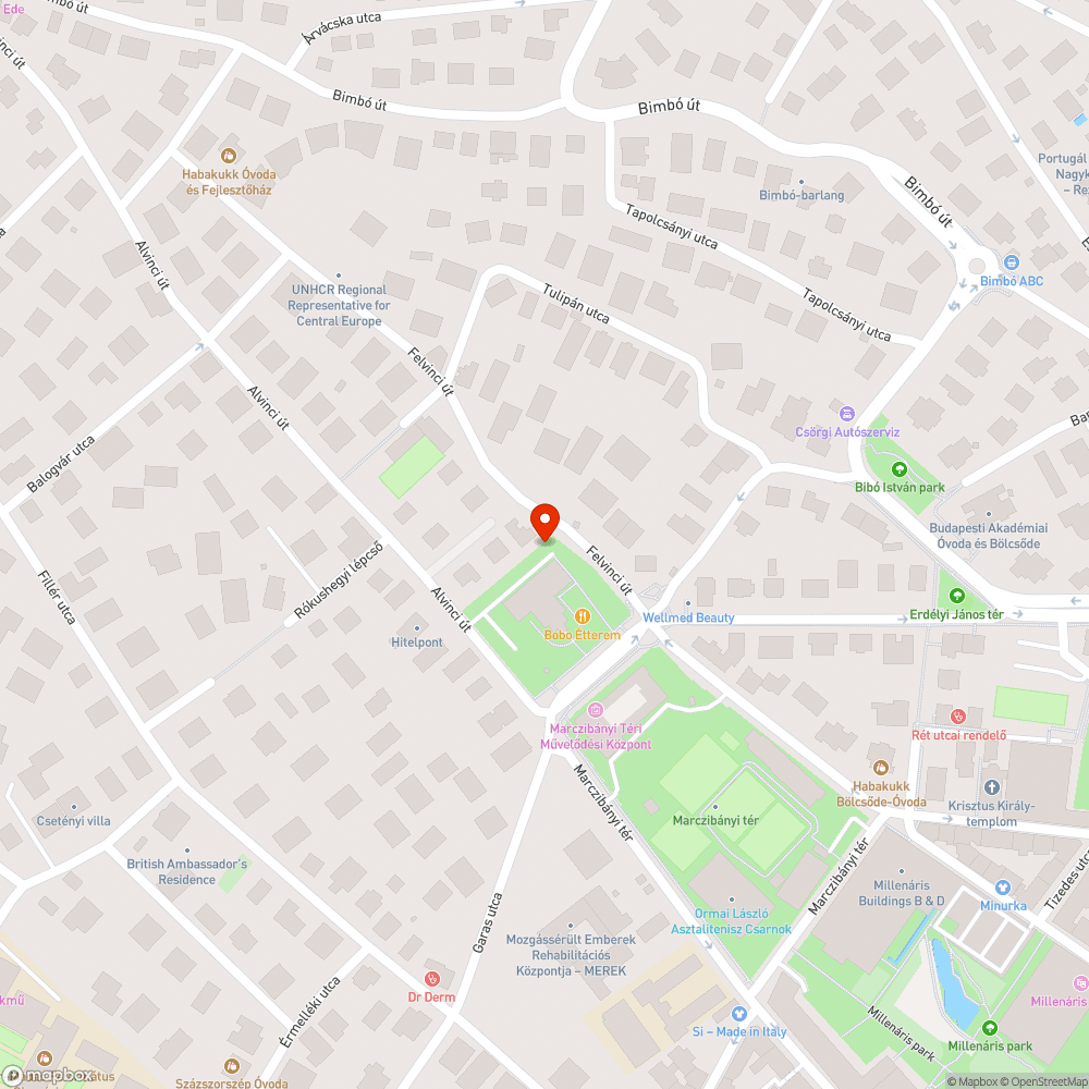 Szétszórt szemét, szétugrott szemetes bejelentés helye