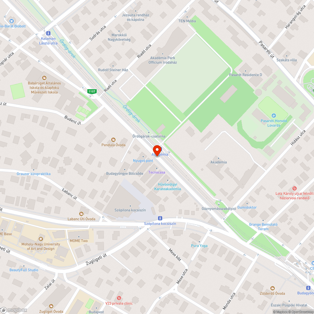 Elszállítatlan fenyőfák bejelentés helye