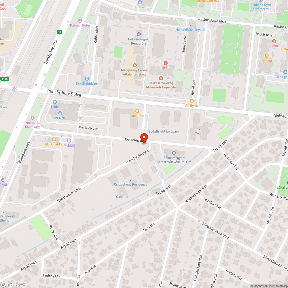 Gyakori zöldterületen parkolás bejelentés helye