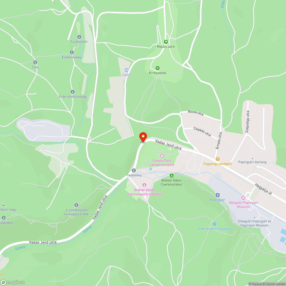 Közúti világítás a Vadas Jenő utca és a Csanyik (inj.üzem bekötőút) között bejelentés helye