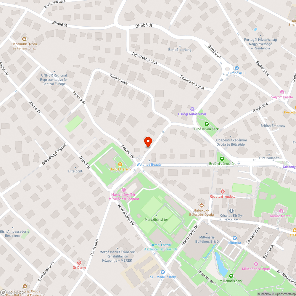 Járdára kicsúszó autók az Aranka utcában bejelentés helye