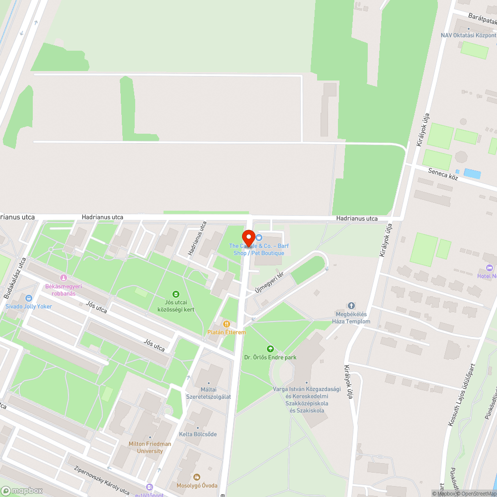 Rohadt falevelek bejelentés helye