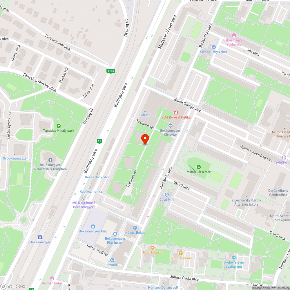 Kidobott fenyőfa bejelentés helye