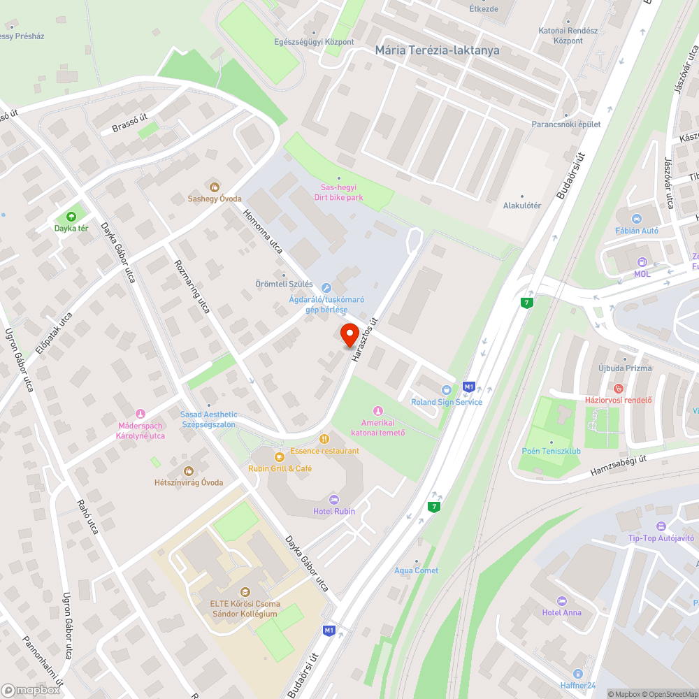 Harasztos út szürke Seat bejelentés helye