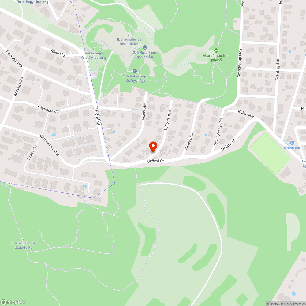 Vízátfolyás az Ürömi útra a Tulipán utcából bejelentés helye