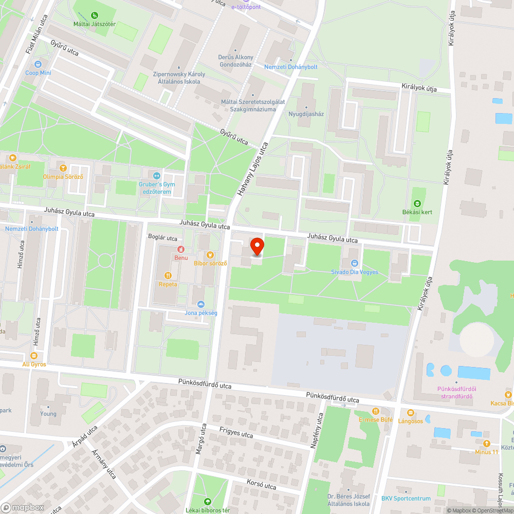 Régóta lejárt műszakival rendelkező autó bejelentés helye