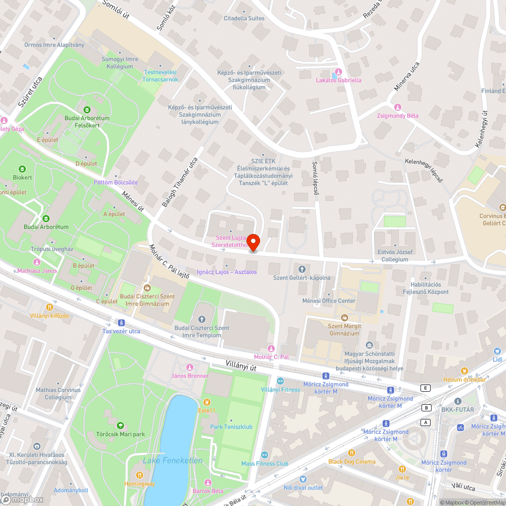 Úttesten kialakult üreg bejelentés helye