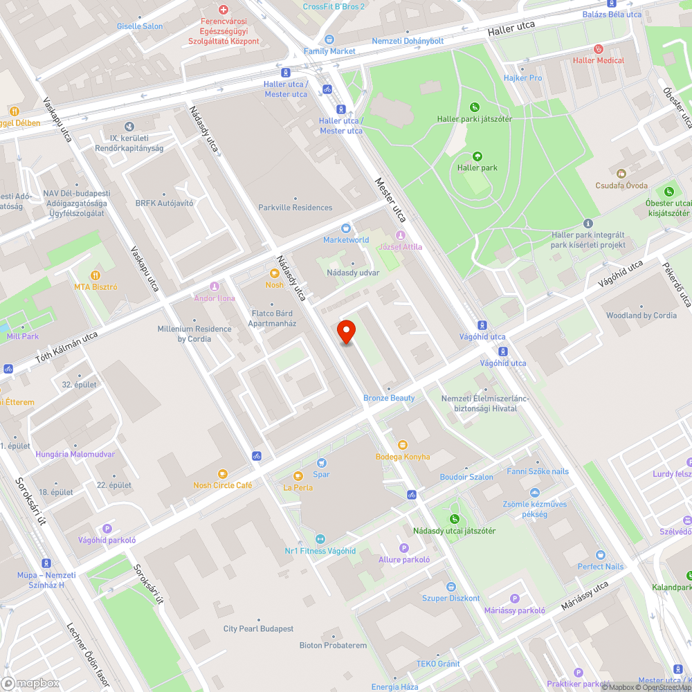 Kutyapiszokkal szennyezett közterület bejelentés helye