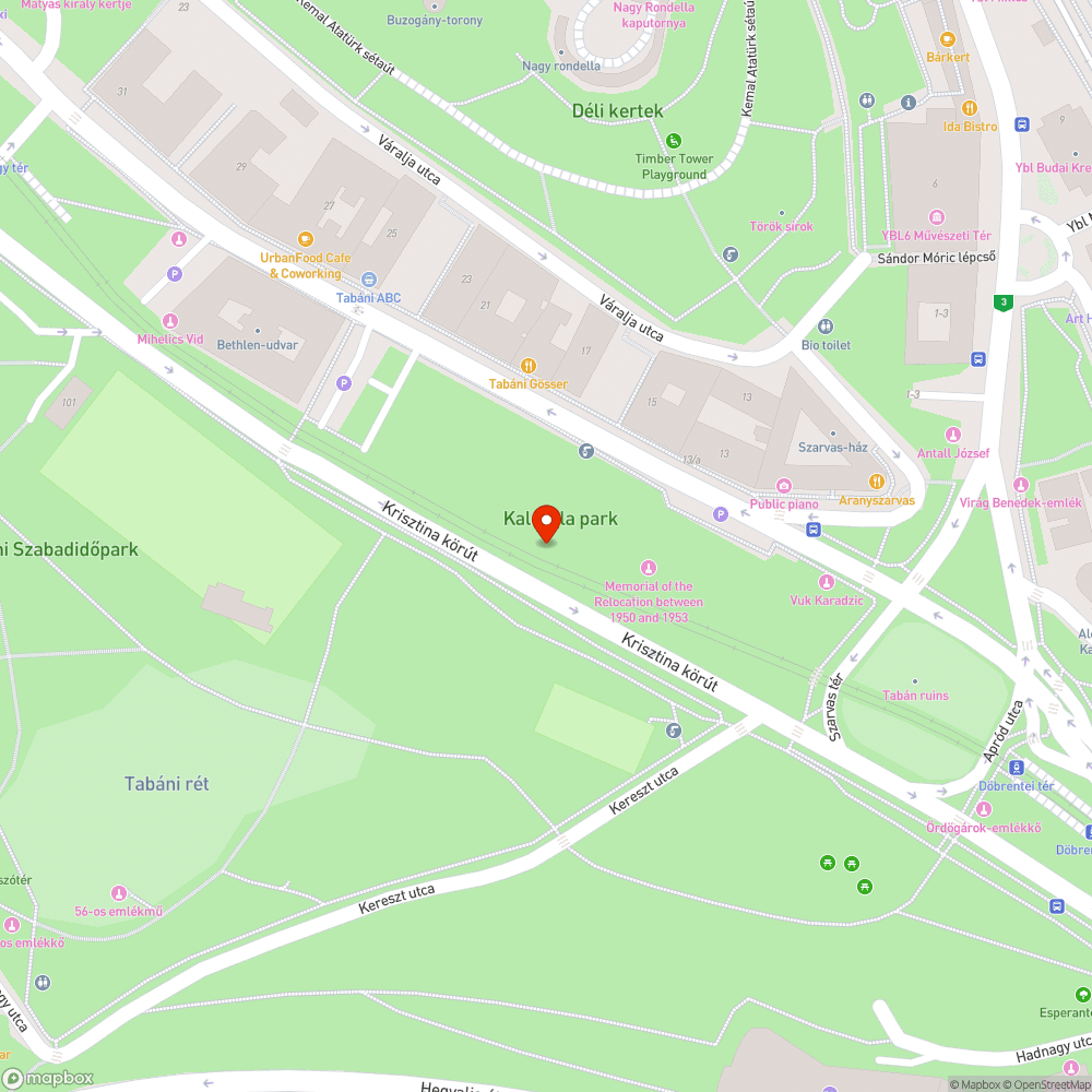 Botrányos állapotú villamospálya a Kalevala parknál bejelentés helye