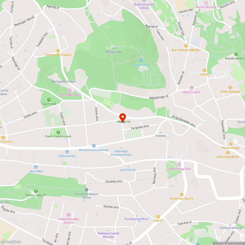 Elkorhadt, veszélyes fa a Szélvesz utcában bejelentés helye