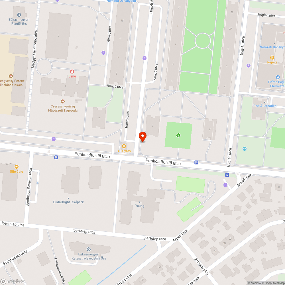 Letört, elszáradt nagy méretű faágak a parkban bejelentés helye