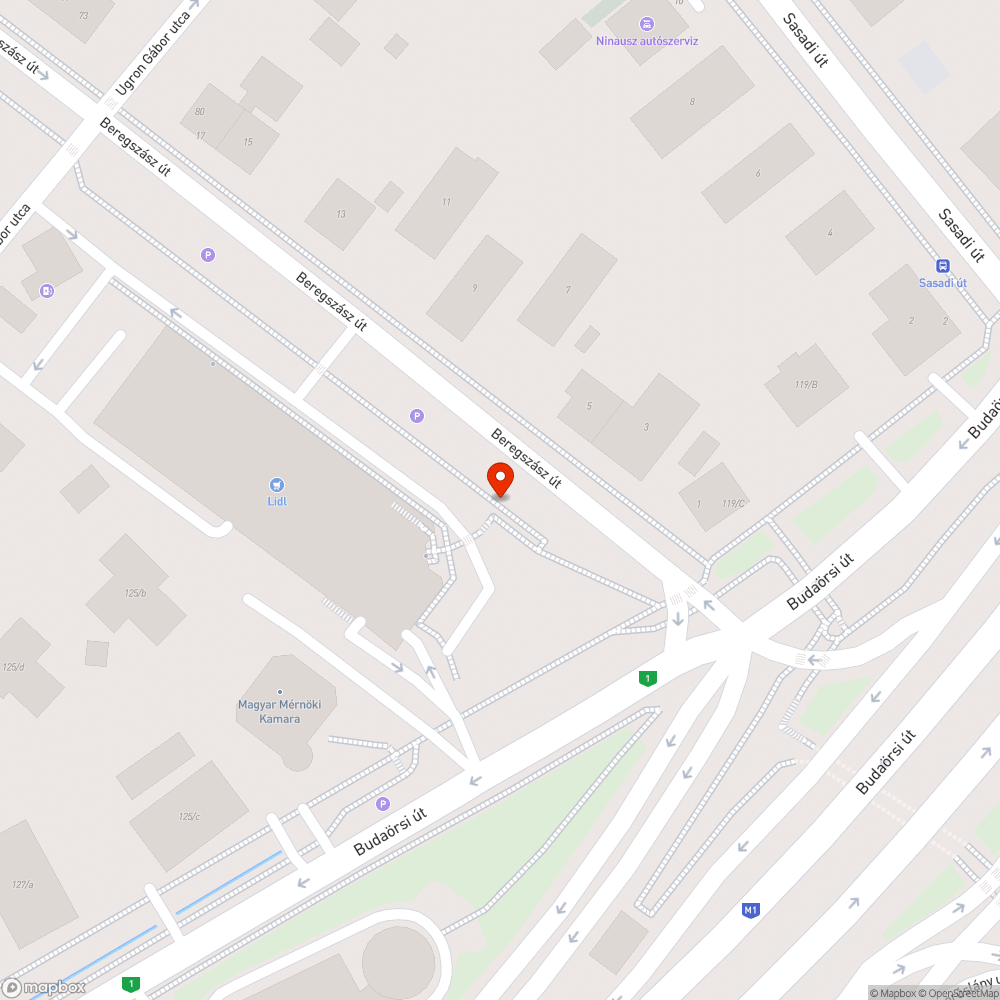 Budaörsi - Beregszász olajfolt a kerékpárúton bejelentés helye