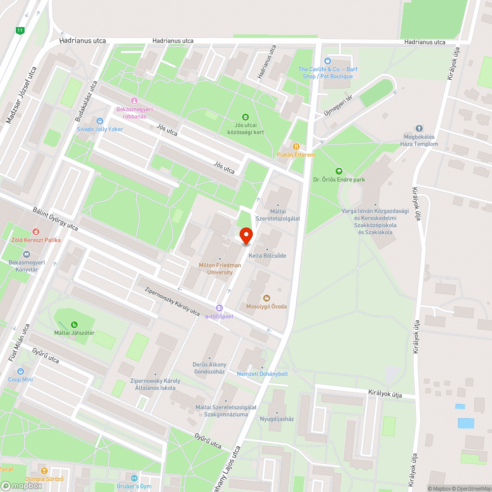 Kiparkolt és tönkretett zöldterület bejelentés helye