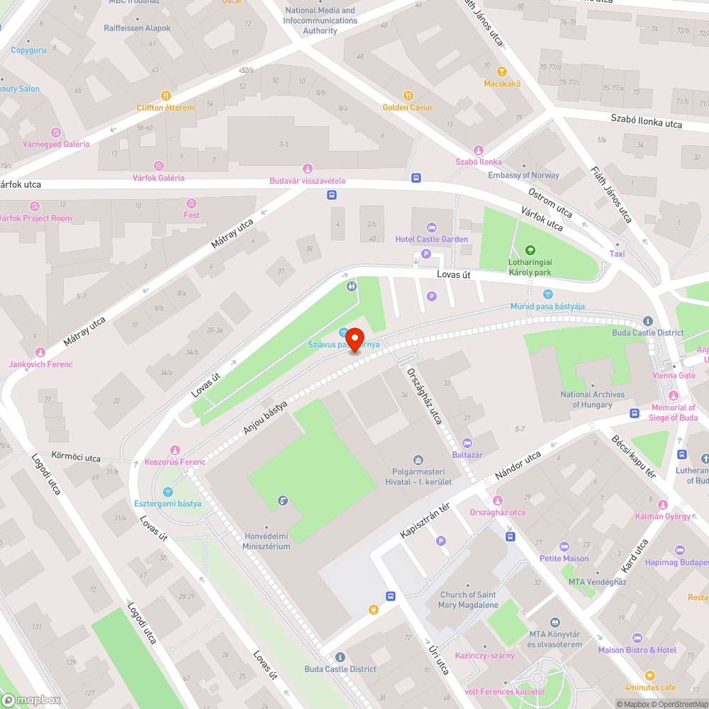 Kutyakakis zacskók a fákon bejelentés helye