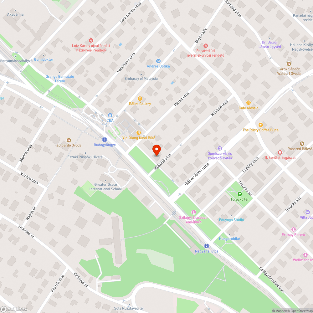 Túlcsorduló szemetes bejelentés helye