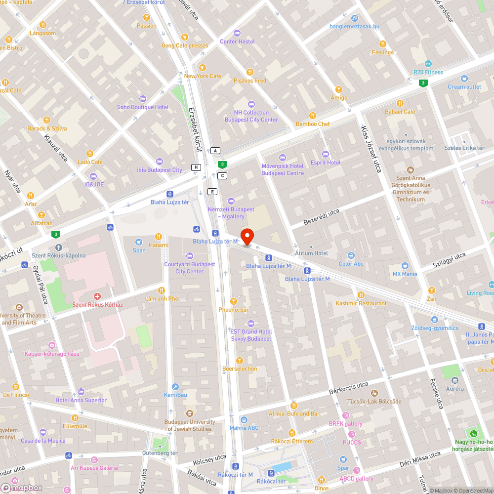 VIII. Népszínház utca - botlásveszélyes, megsüllyedt aknafedlap bejelentés helye