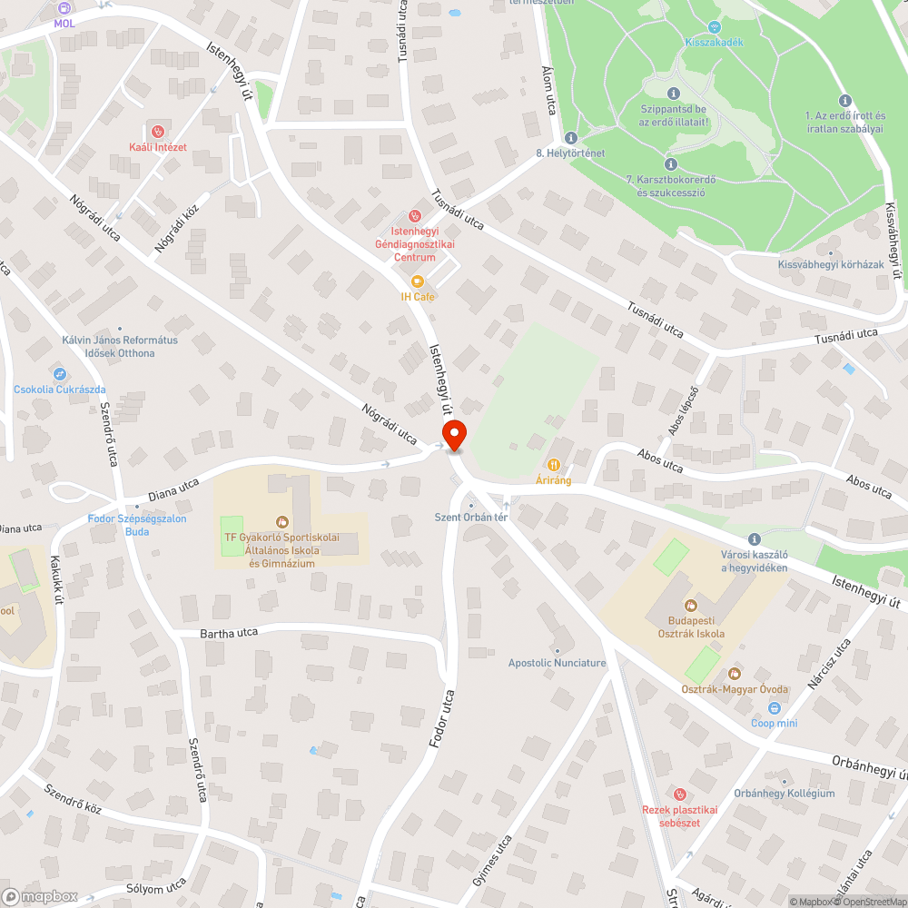 Szent Orbán tér bejelentés helye