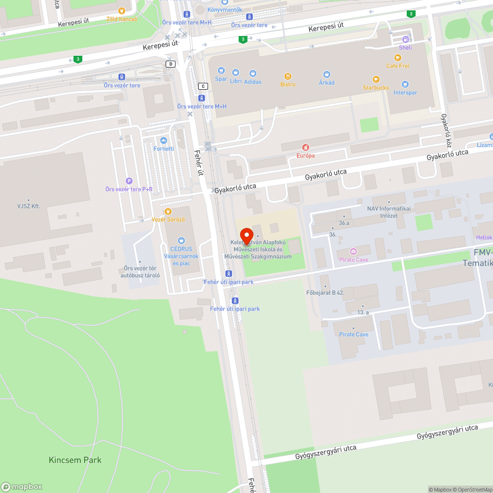 Funkciótlan, otthagyott lámpaoszlopok és fa oszlop a Fehér út 10-nél. bejelentés helye