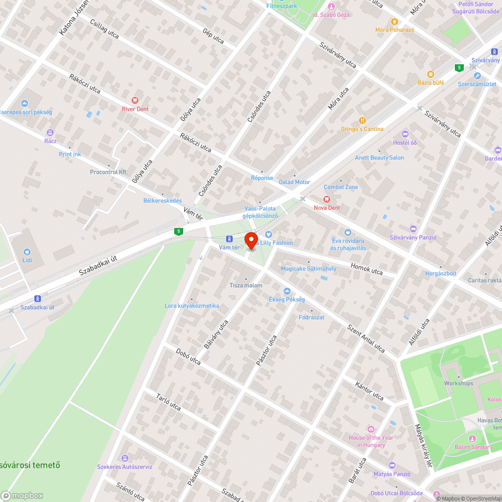 Hulladékgyűjtő hiánya a vám téren bejelentés helye