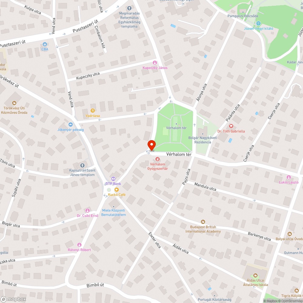 Buszforgalmat akadályozó parkoló kocsik a Vérhalom téren bejelentés helye