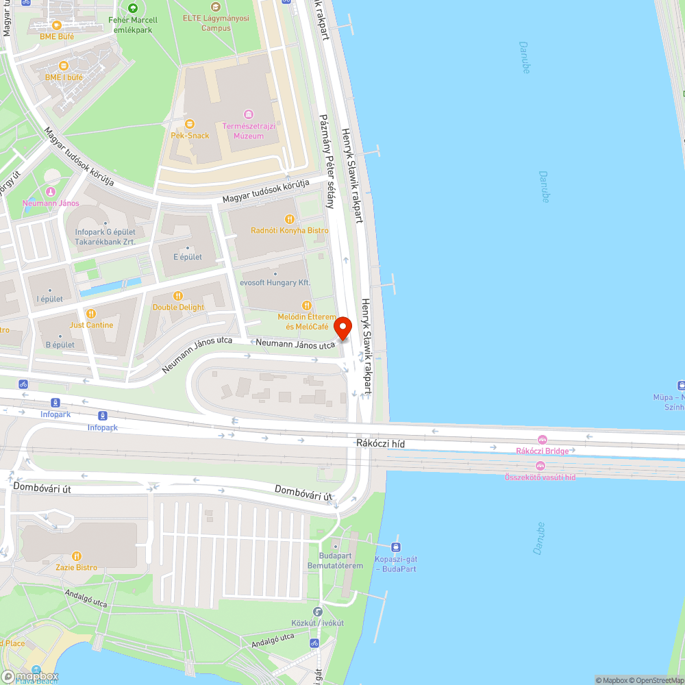 Járdára belógó faágak XI. kerület Neumann János utca bejelentés helye