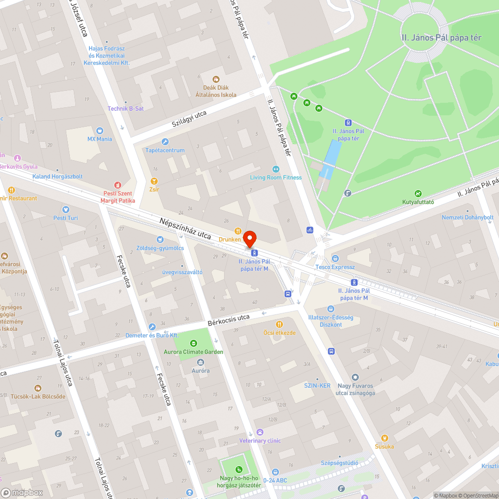 Népszínház utcai villamosok rendkívüli zaj és rezgésterhelést okoznak az utcában bejelentés helye