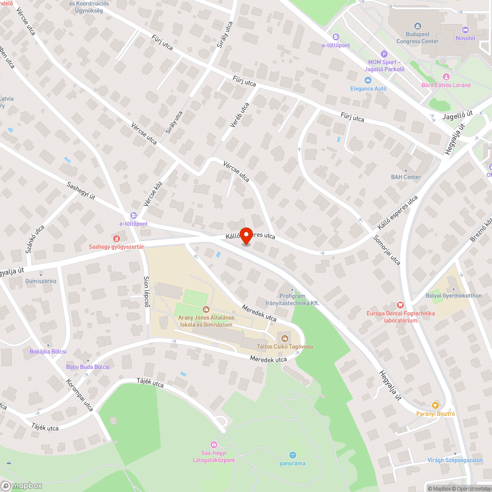 Leesett zászló bejelentés helye