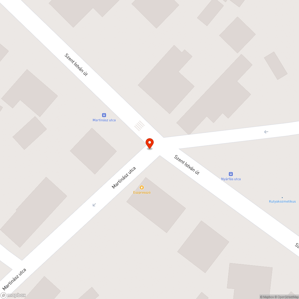 Zajos vízelvezető rács (Martinász utca) bejelentés helye