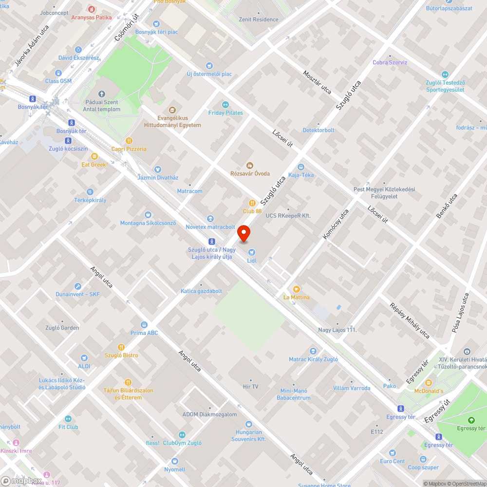 Botlásveszélyes járda bejelentés helye